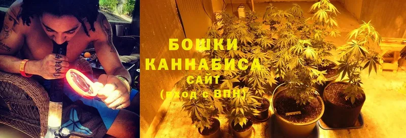 darknet Telegram  где продают наркотики  Калачинск  Канабис SATIVA & INDICA 